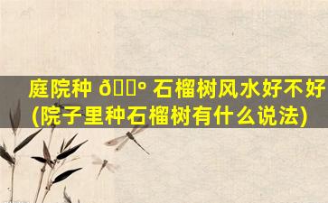 庭院种 🐺 石榴树风水好不好(院子里种石榴树有什么说法)